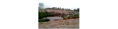 226. திருஅறையணி நல்லூர்